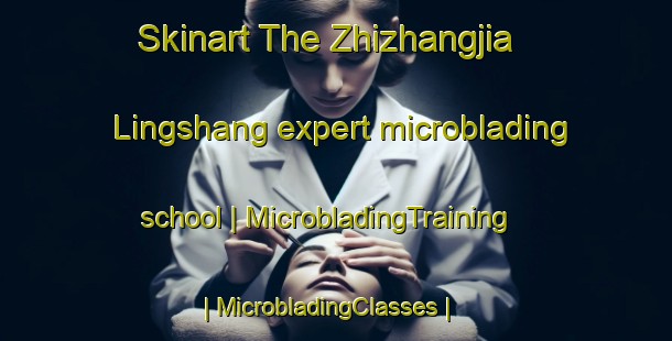 Skinart The Zhizhangjia Lingshang expert microblading school | MicrobladingTraining | MicrobladingClasses | SkinartTraining-China